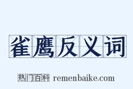 雀鹰反义词是什么意思的图片